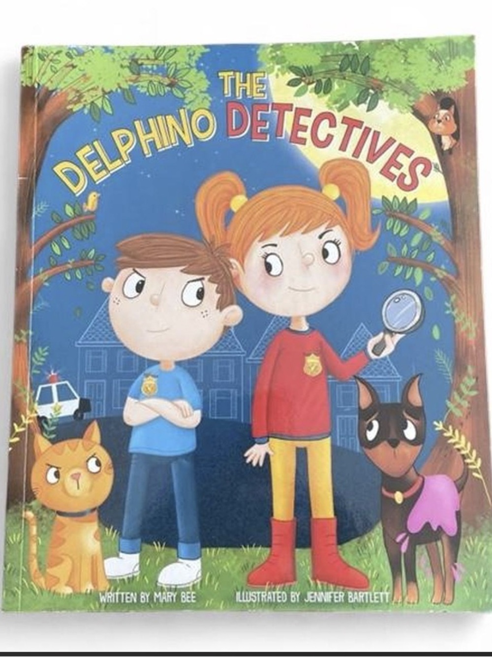 The Delphino Detectives Illustrated Children's Paperback Book